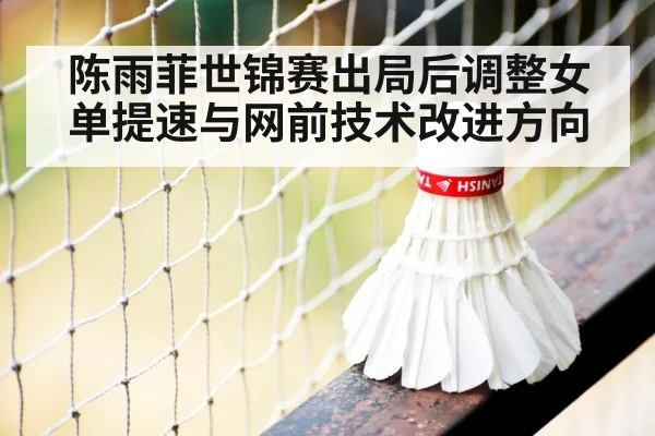 badminton net shot close up
